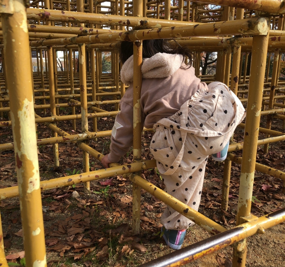 ジャングルジムに初挑戦!